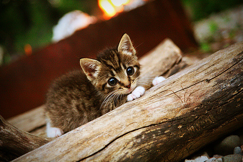 国足比赛中场分布密度统计热图，国足的中场